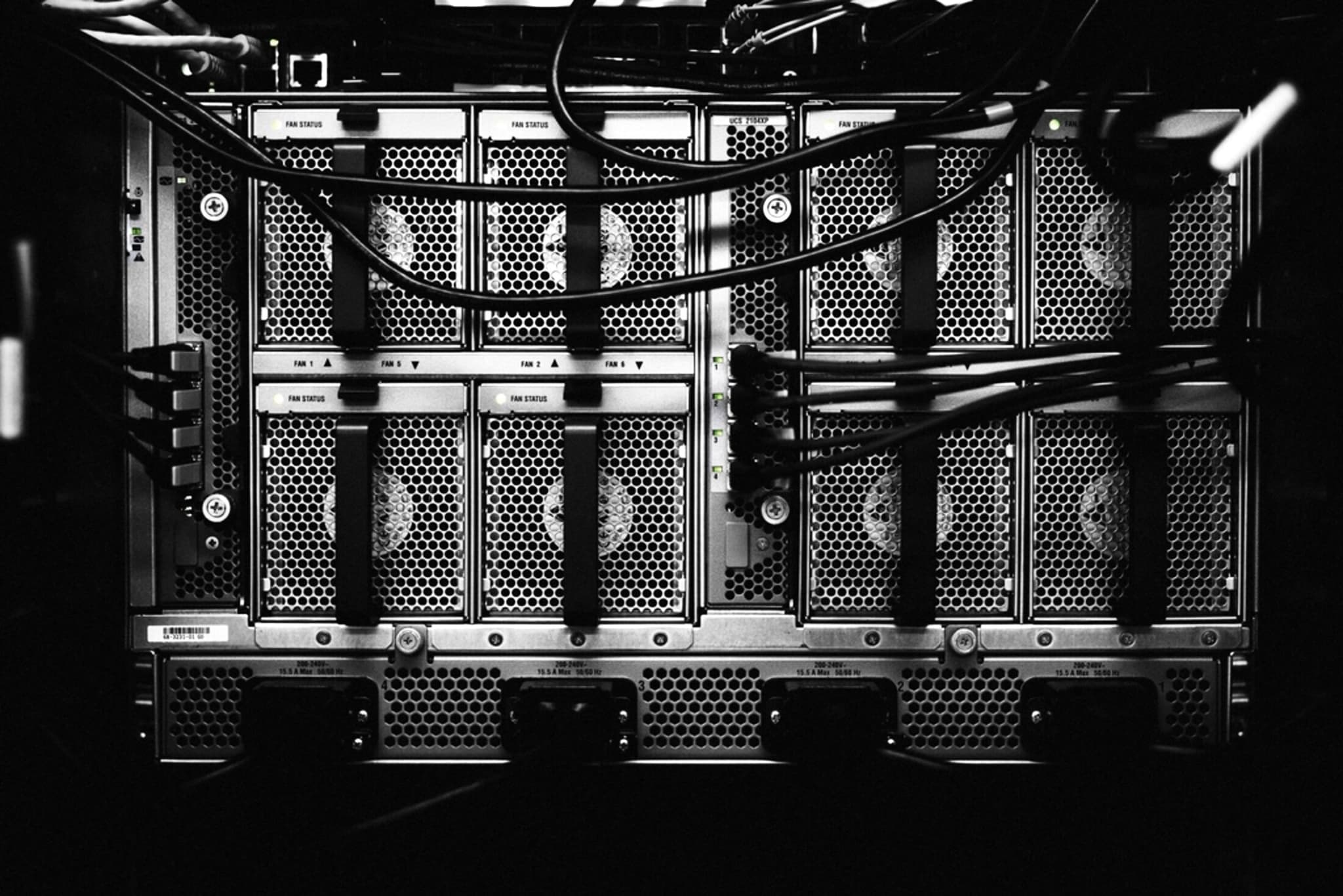 Server rear, fan modules and cabling